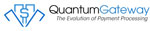 Quantum Quantum