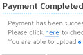 Visitor redirected to your website, payment completed.