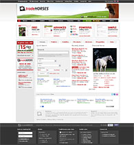 www.tradehorses.com
