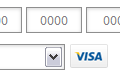 PayPal Pro checkout form