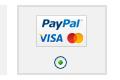 PayPal Pro payment button