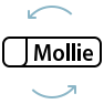 Mollie Gateway